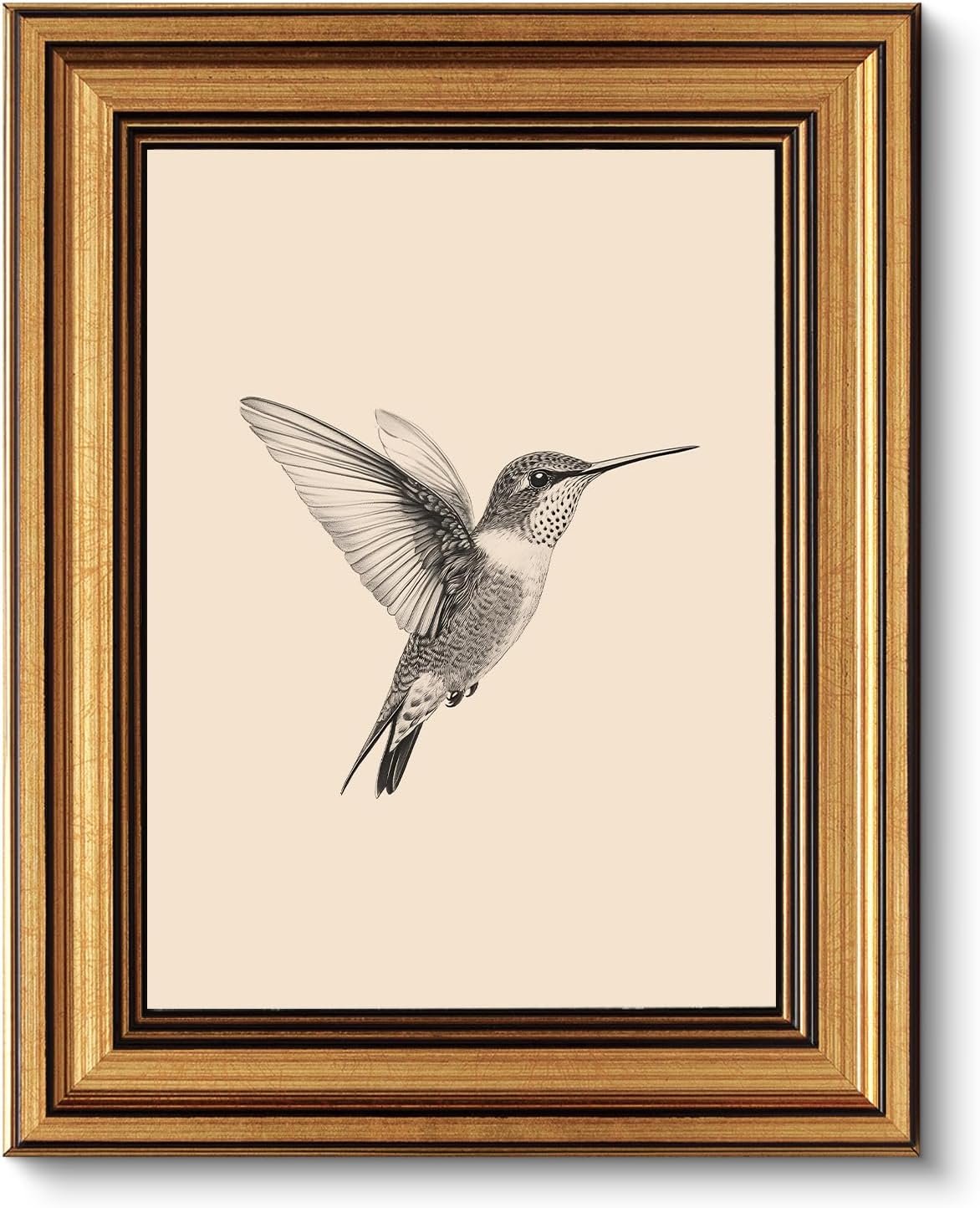 VIYYIEA Vintage Gold Framed Sketch Hummingbird Canvas Wall Art, 10x8 inch product photo